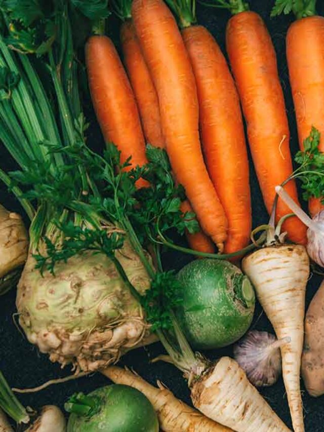 Root-Vegetables-For-Kids