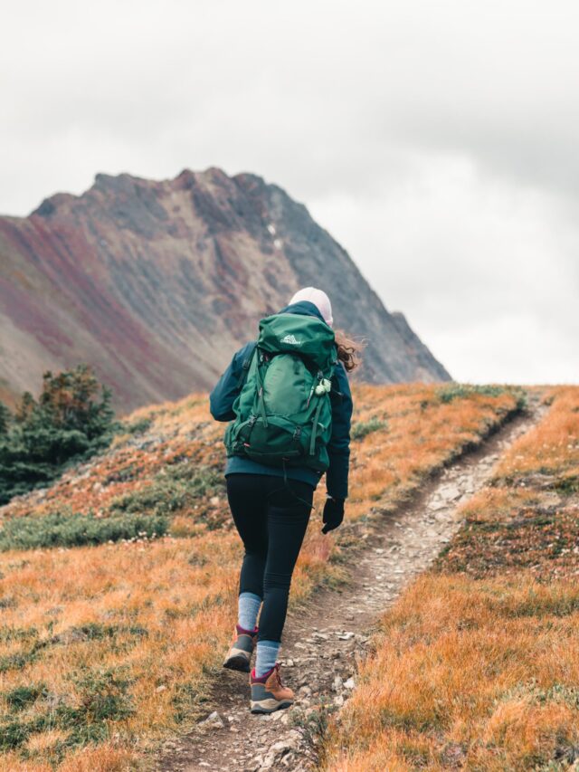 ali-kazal-5ZRX-HLtZTs-unsplash